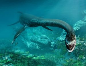 locuri de munca cercetator marin