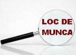 locuri de munca 2019