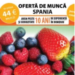 Frutas Dolce