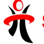 Human Solutions& Provider SRL